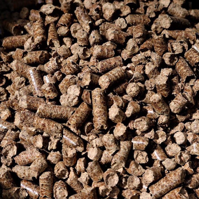 Bear Mountain BBQ Premium All-Natural Hardwood Oak BBQ Smoker Pellets, 20 lbs