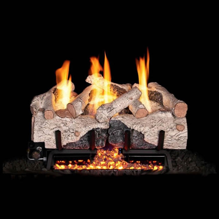 Real Fyre Charred Alpine Birch Vent-Free Gas Log Set Insert